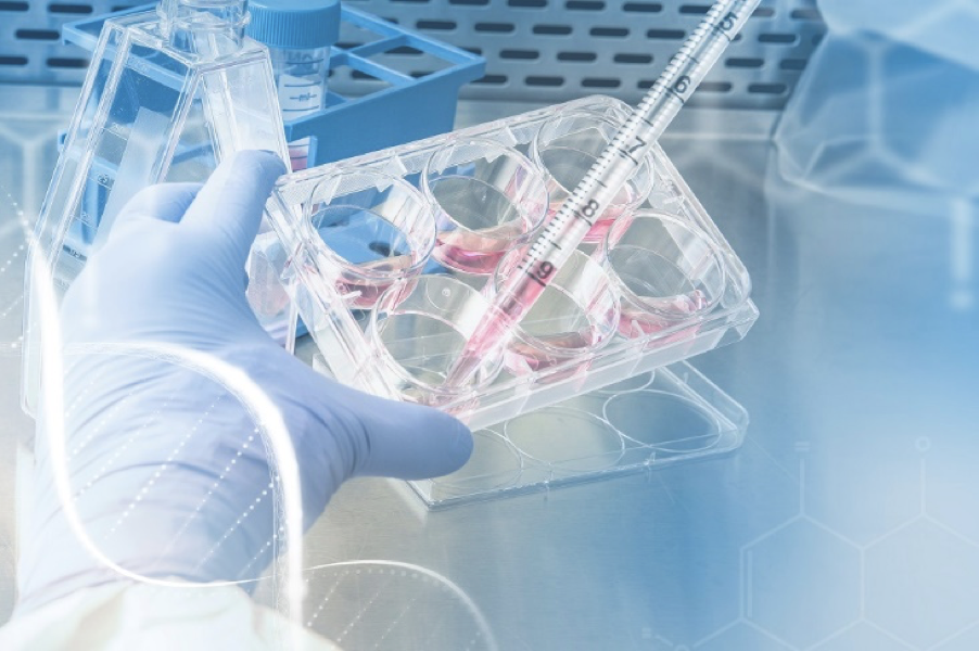 12 Most Common Supply Chain Challenges in Life Science Industry