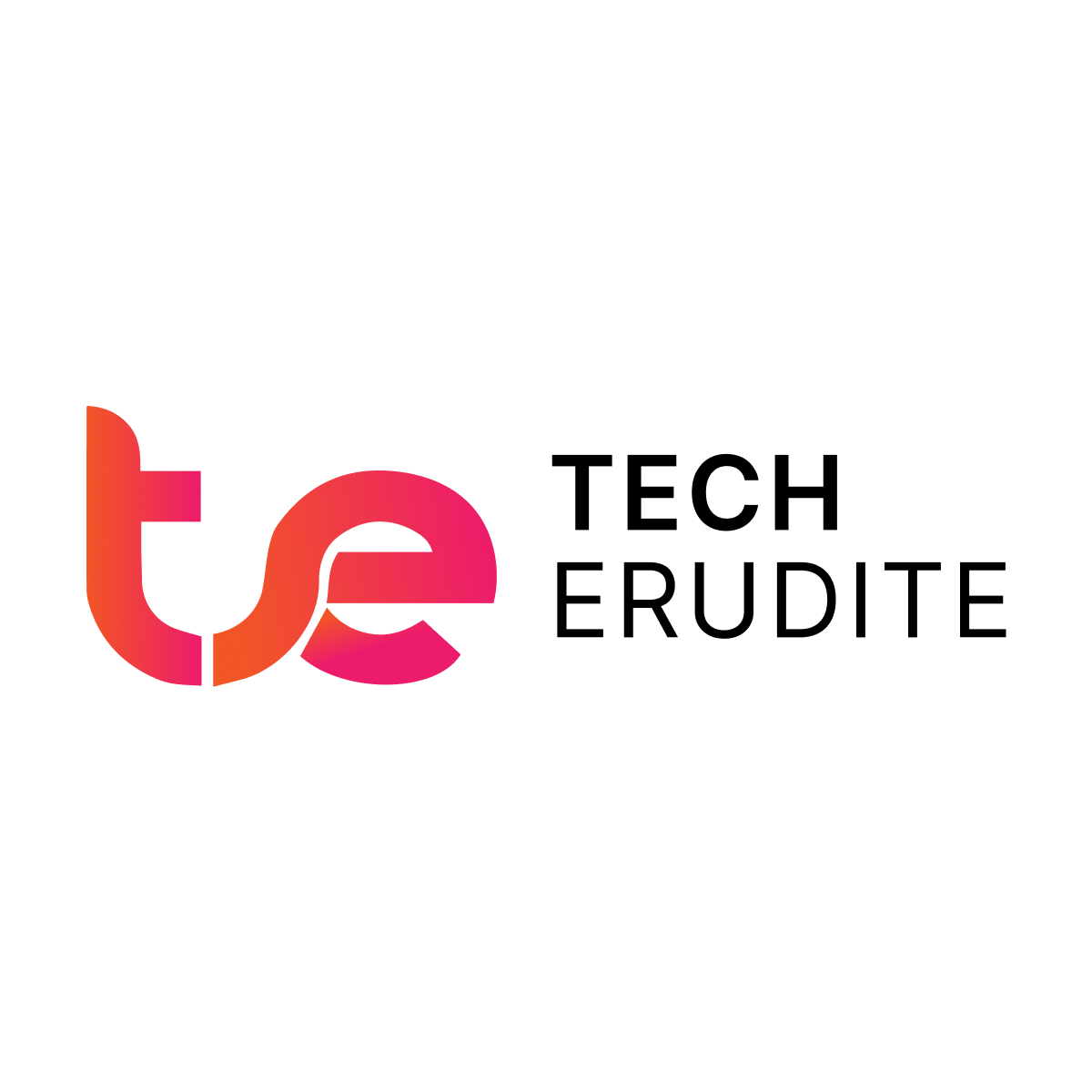 TechErudite
