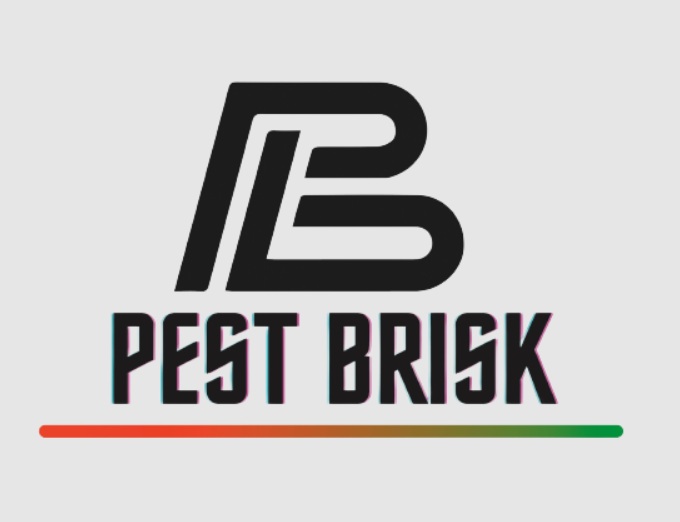 Pest Brisk