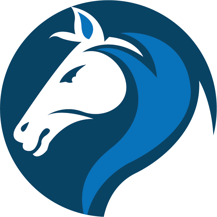 Indian Seo Company – Kolkata